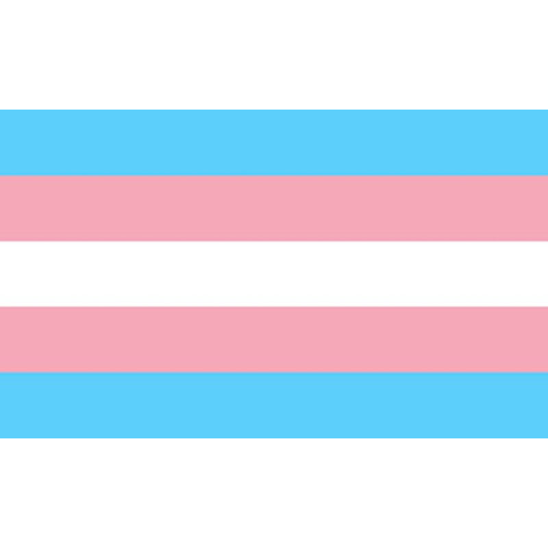 Comprar Pride - Bandera 90 X 150 Transexual